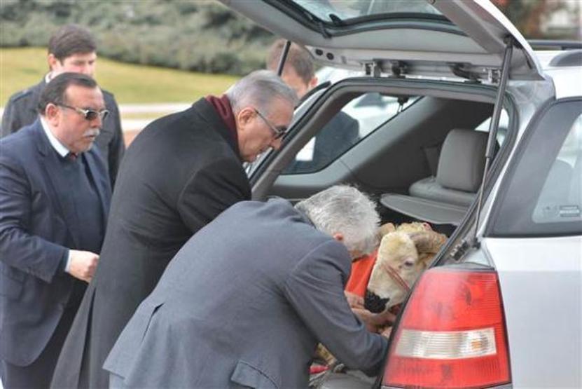 Ensar Öğüt basın toplantısına koçla geldi