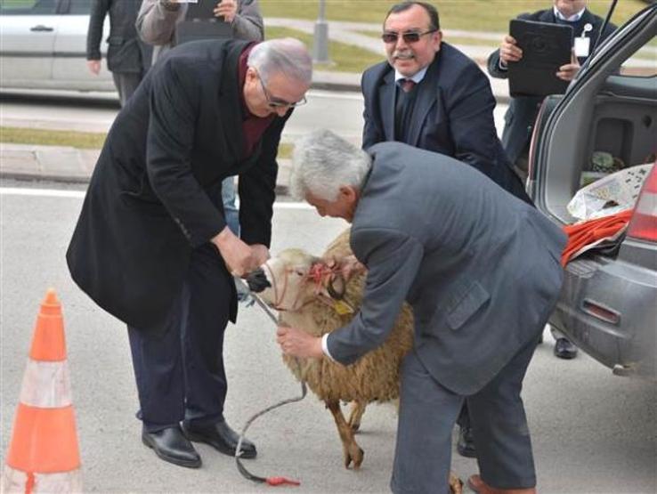 Ensar Öğüt basın toplantısına koçla geldi