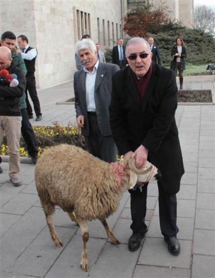 Ensar Öğüt basın toplantısına koçla geldi