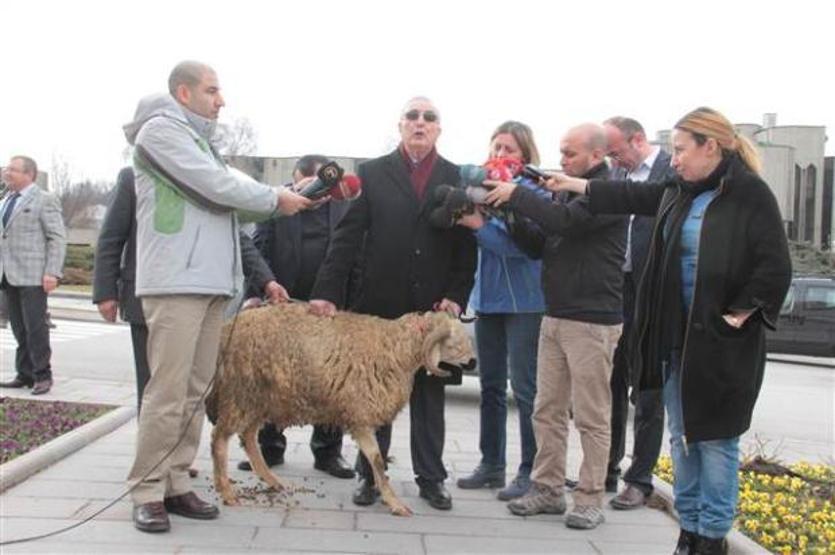 Ensar Öğüt basın toplantısına koçla geldi