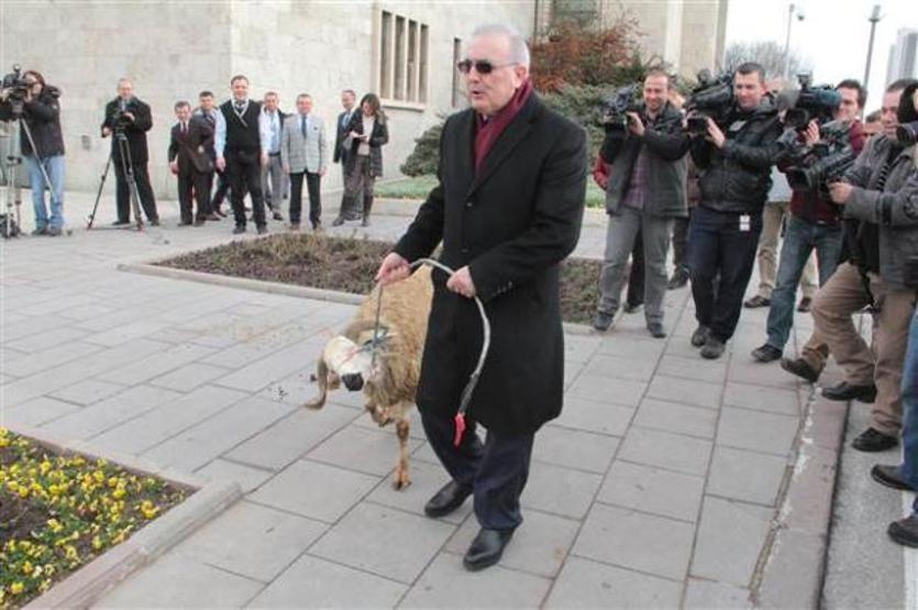 Ensar Öğüt basın toplantısına koçla geldi