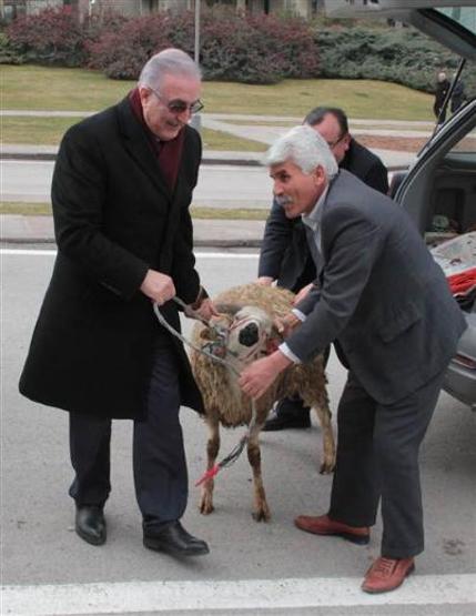 Ensar Öğüt basın toplantısına koçla geldi