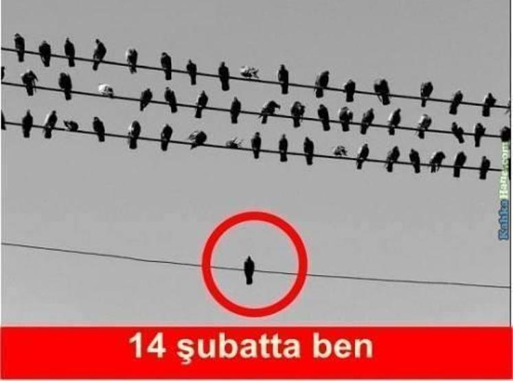 14 Şubat Sevgililer Günü Capsleri