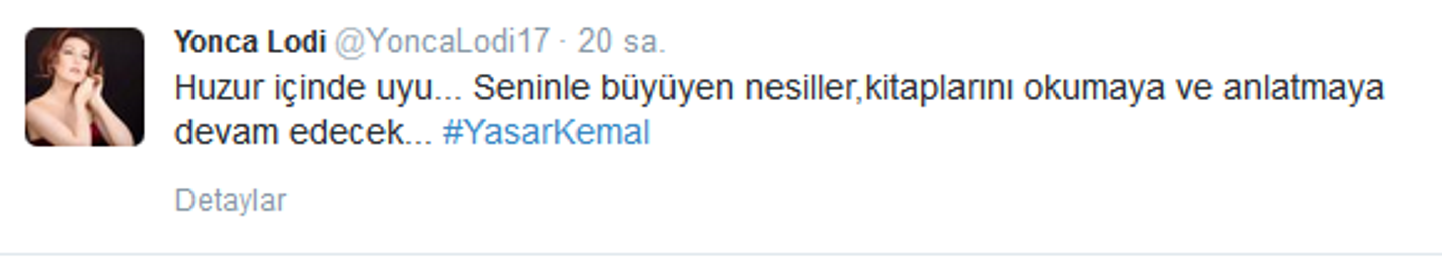Ünlüler Yaşar Kemal‘e böyle veda etti