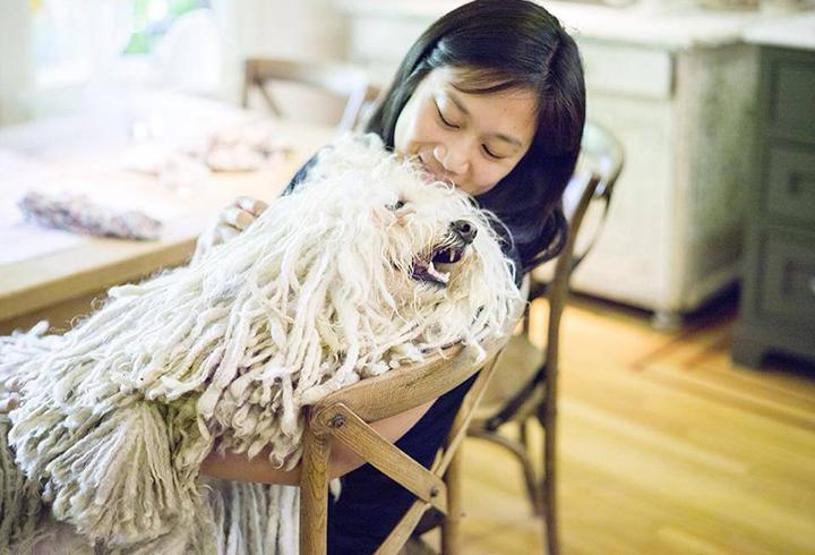 Bu köpek çok popüler