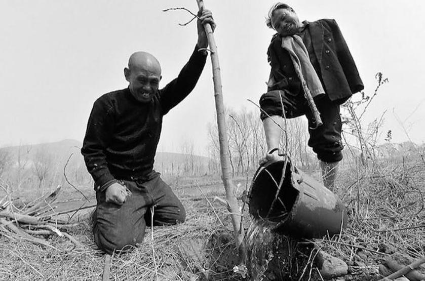 İki kahraman 10.000 ağaç dikti