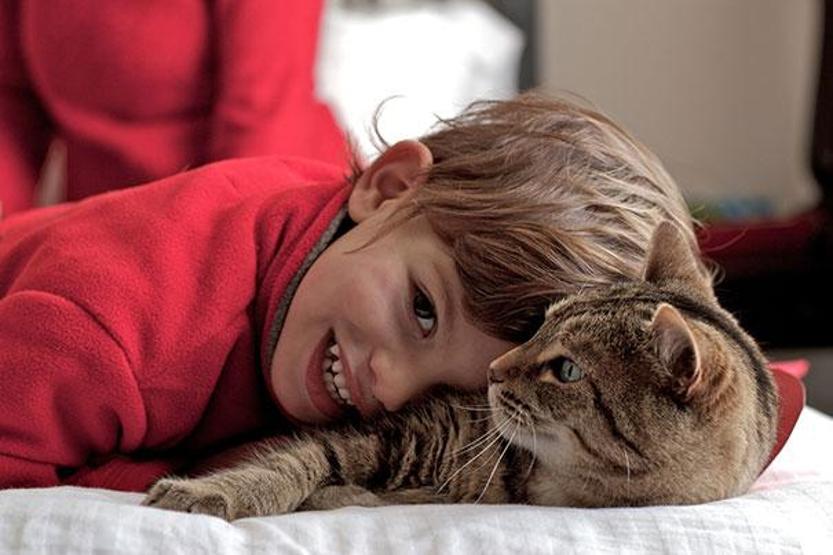 Çocuğunuzun kediye ihtiyacı olduğunu gösteren 35 fotoğraf