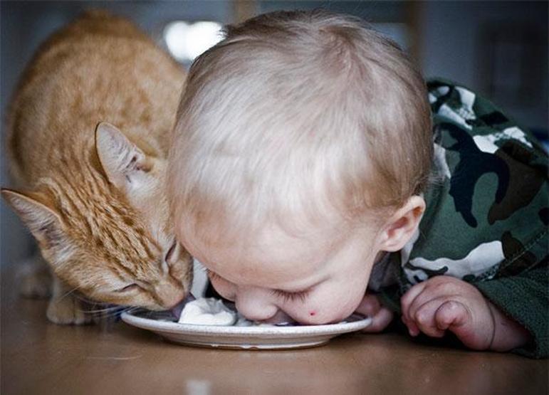 Çocuğunuzun kediye ihtiyacı olduğunu gösteren 35 fotoğraf