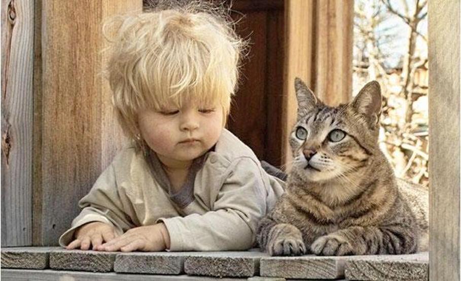 Çocuğunuzun kediye ihtiyacı olduğunu gösteren 35 fotoğraf