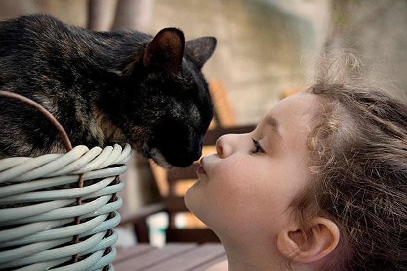 Çocuğunuzun kediye ihtiyacı olduğunu gösteren 35 fotoğraf
