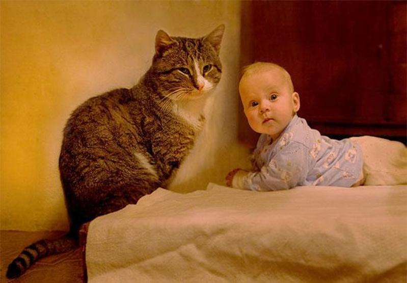 Çocuğunuzun kediye ihtiyacı olduğunu gösteren 35 fotoğraf