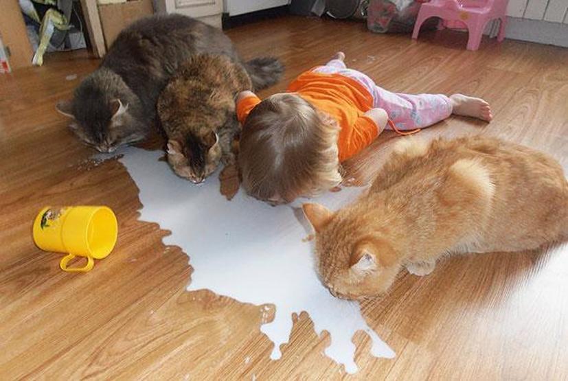 Çocuğunuzun kediye ihtiyacı olduğunu gösteren 35 fotoğraf
