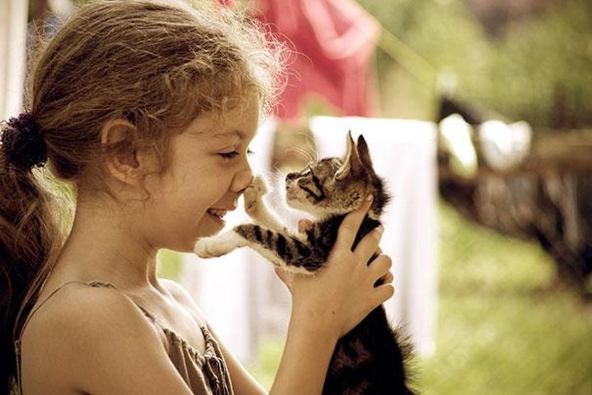 Çocuğunuzun kediye ihtiyacı olduğunu gösteren 35 fotoğraf