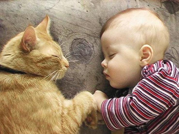 Çocuğunuzun kediye ihtiyacı olduğunu gösteren 35 fotoğraf