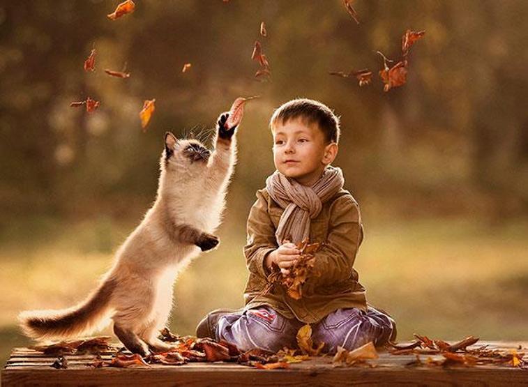 Çocuğunuzun kediye ihtiyacı olduğunu gösteren 35 fotoğraf