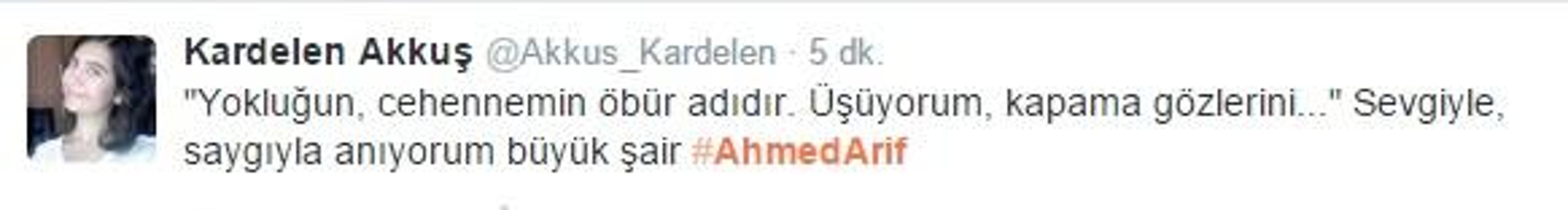 Ahmed Arif unutulmadı