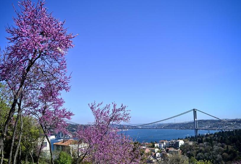 İstanbulda Erguvan günleri...