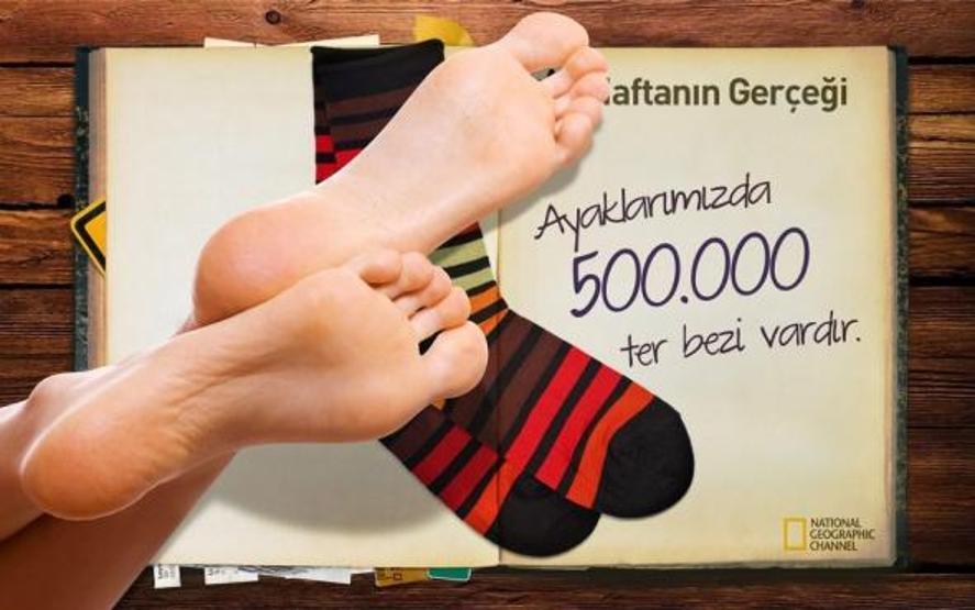 Haftanın ilginç gerçekleri
