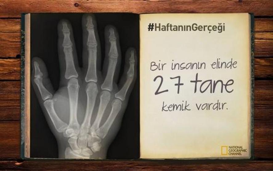 Haftanın ilginç gerçekleri