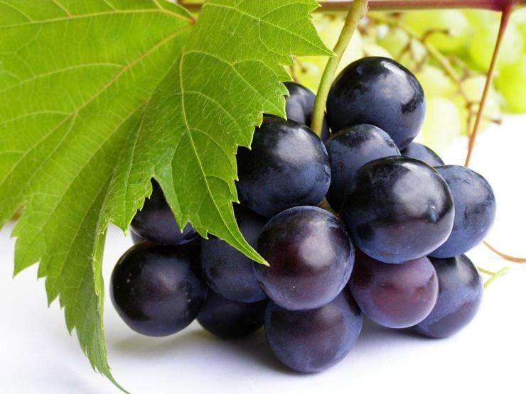 Kemik erimesine iyi gelen yiyecekler