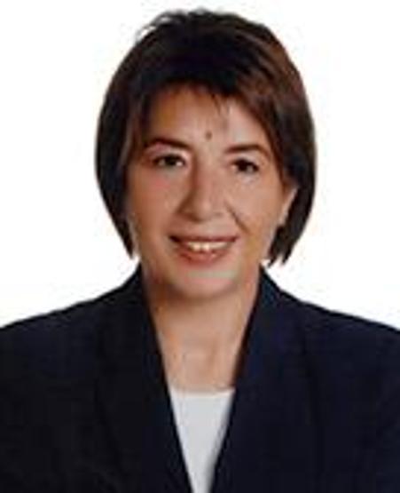 İşte AK Partinin milletvekilleri