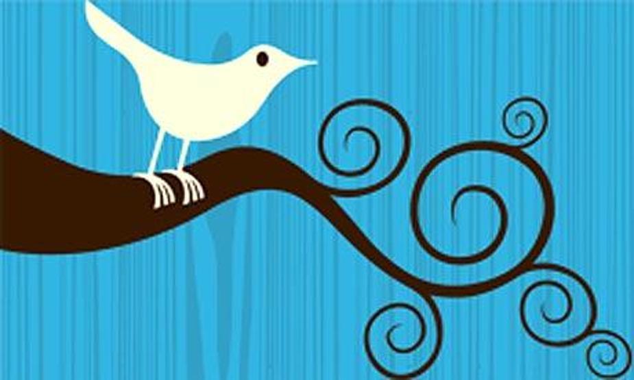 Twitter Voltrona dönüşebilecek mi