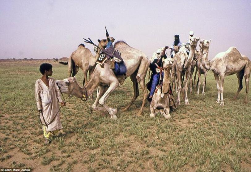 Soyun kadından geçtiği Müslüman halk: Tuaregler
