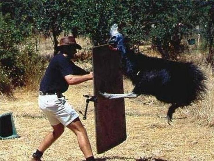 Sadece Avustralyada çekilebilecek 25 fotoğraf