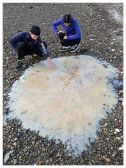 Sadece Avustralyada çekilebilecek 25 fotoğraf