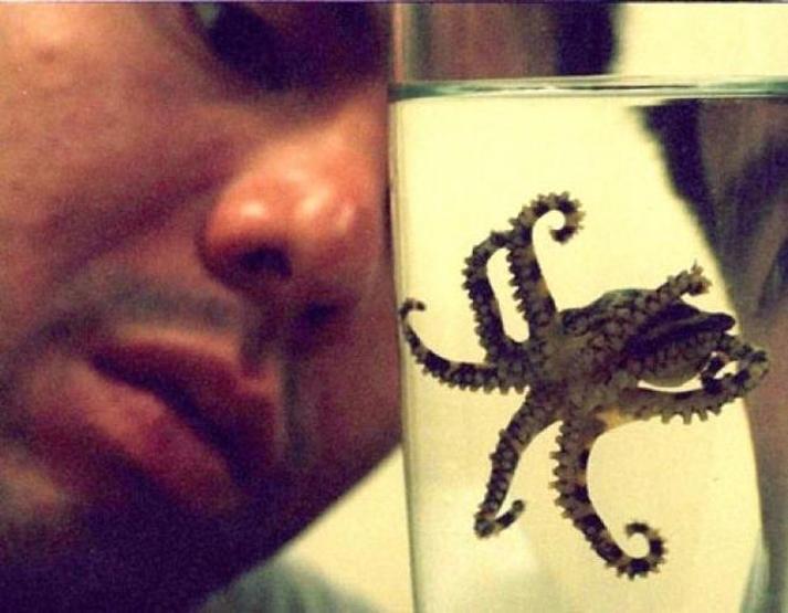 Sadece Avustralyada çekilebilecek 25 fotoğraf