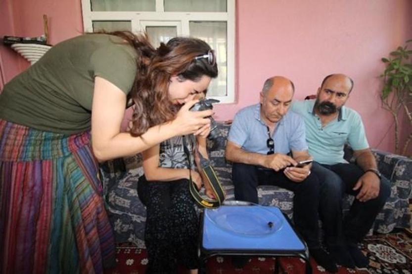 90 bin dolarlık böcek balkondan girdi