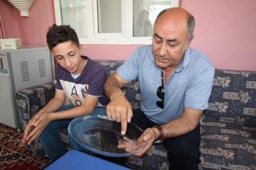 90 bin dolarlık böcek balkondan girdi
