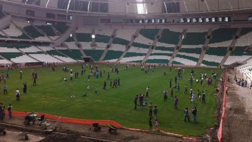 Timsah Arenada isyan ettiren görüntü