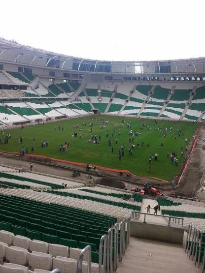 Timsah Arenada isyan ettiren görüntü