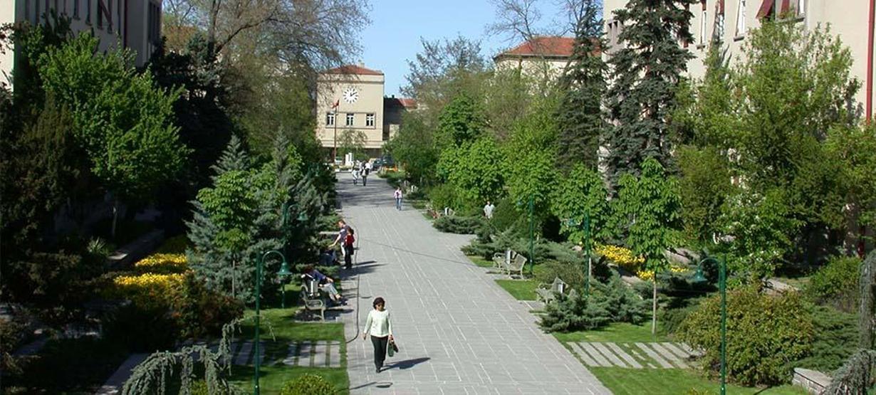 Üniversitelere göre Gazetecilik bölümünü tercih eden öğrenci sayısı