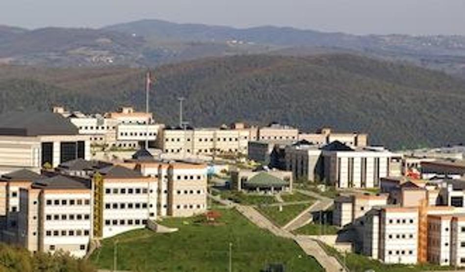 Üniversitelere göre Mimarlık bölümünü tercih eden öğrenci sayısı