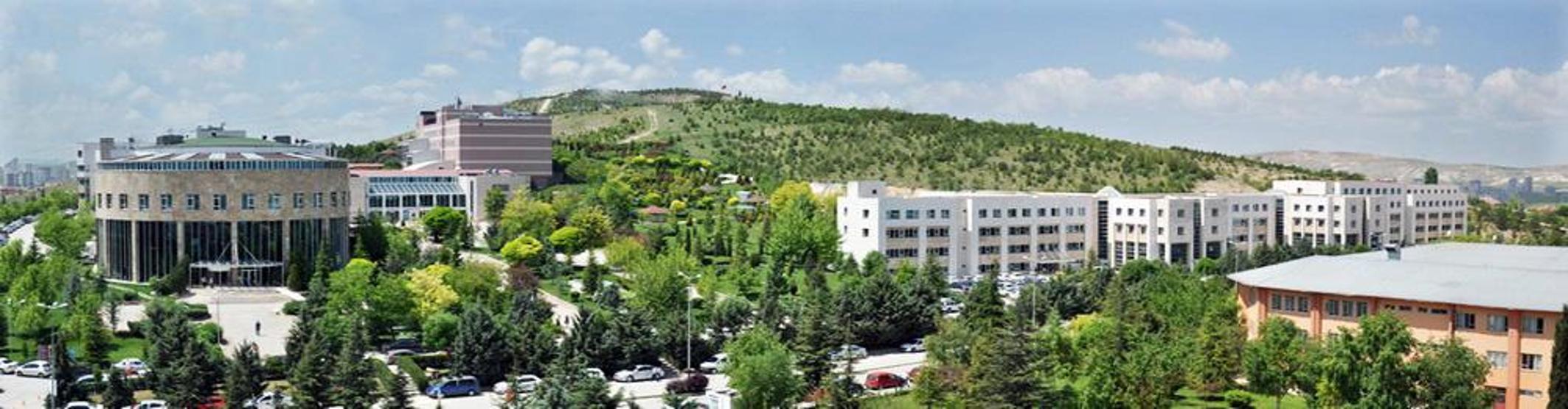 Bu yıl ilk kez Beslenme ve Diyetetik bölümünden öğrenci kabul edecek üniversiteler