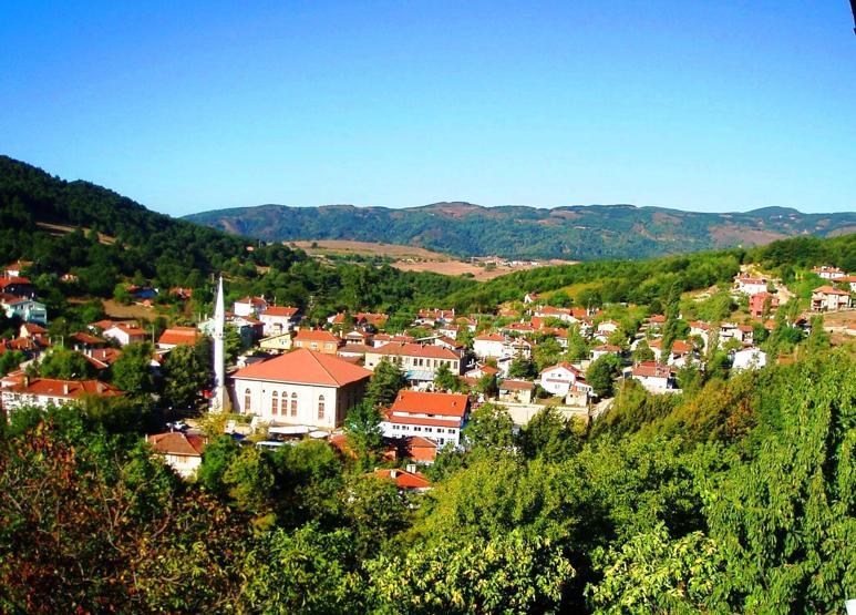Hangi ilin nüfusu ne kadar arttı, hangi ilin nüfusu azaldı