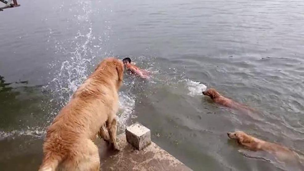 Sen nereye, biz oraya