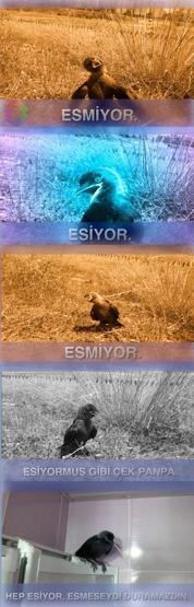 Esmiyor capsleri...