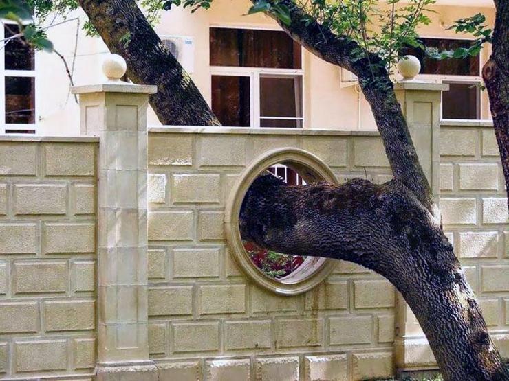 Ağaçları kesmeyi reddeden 22 mimar