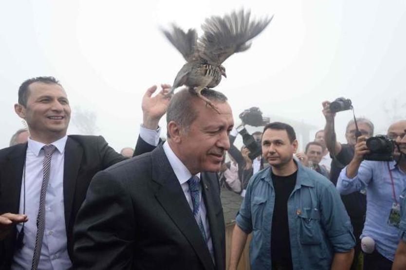 Cumhurbaşkanı Erdoğan Kıbledağı camisinin açılışını yaptı