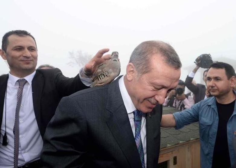 Cumhurbaşkanı Erdoğan Kıbledağı camisinin açılışını yaptı