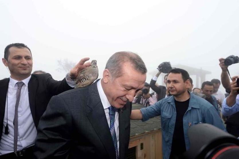 Cumhurbaşkanı Erdoğan Kıbledağı camisinin açılışını yaptı