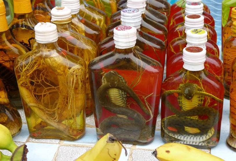 Zehirli yılanı alkolde bekletip şarabını yapıyorlar