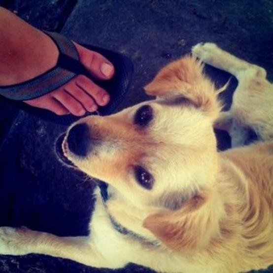 Instagramda her şey bu fotoğrafla başladı