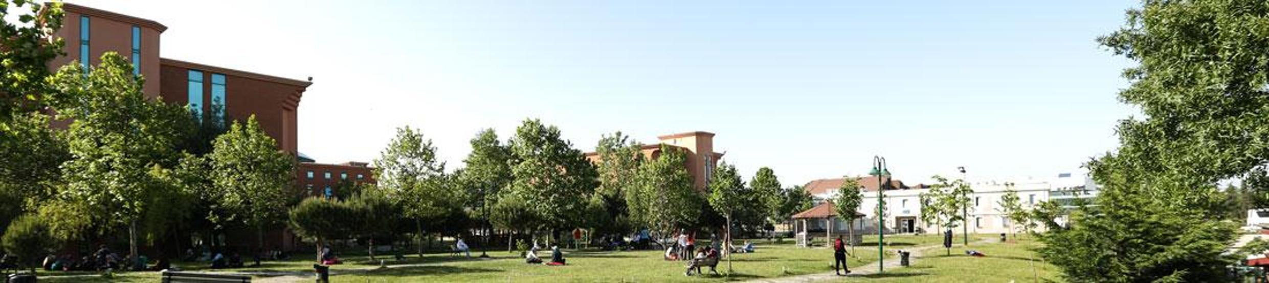 İstanbulda Psikoloji bölümü ücretleri ne kadar