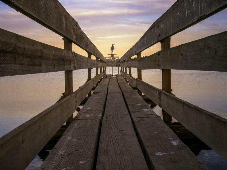 Light L16, DSLR fotoğraf makinelerine kafa tutuyor