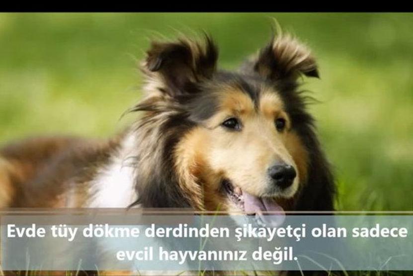 İnsan vücudunda şaşırtıcı 16 özellik