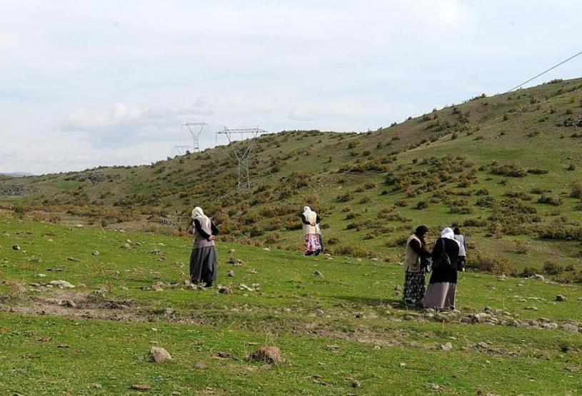 Bingöllüleri zengin eden taşların sırrı ortaya çıktı